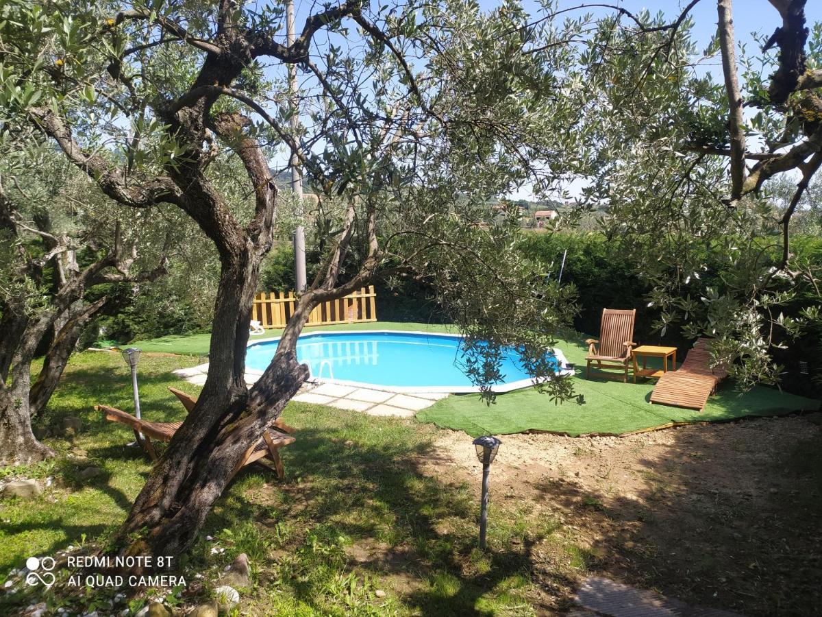 Il Borgo Dei Pini Vinci Exterior foto