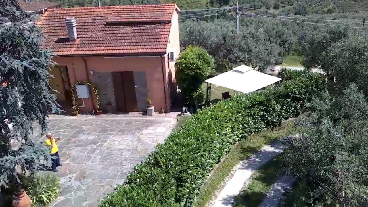 Il Borgo Dei Pini Vinci Exterior foto